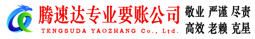 岱岳腾速达清债公司